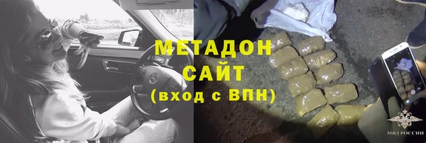 сатива Беломорск