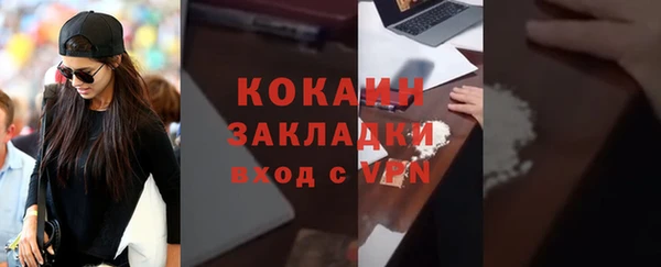 сатива Беломорск