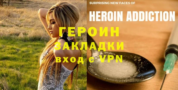 сатива Беломорск