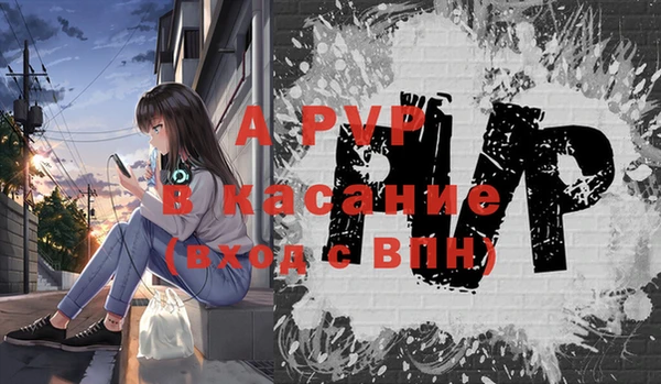 круглые Белокуриха