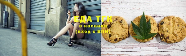 индика Баксан
